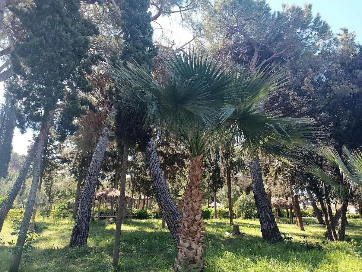 Tropical Apartment Durres Albania