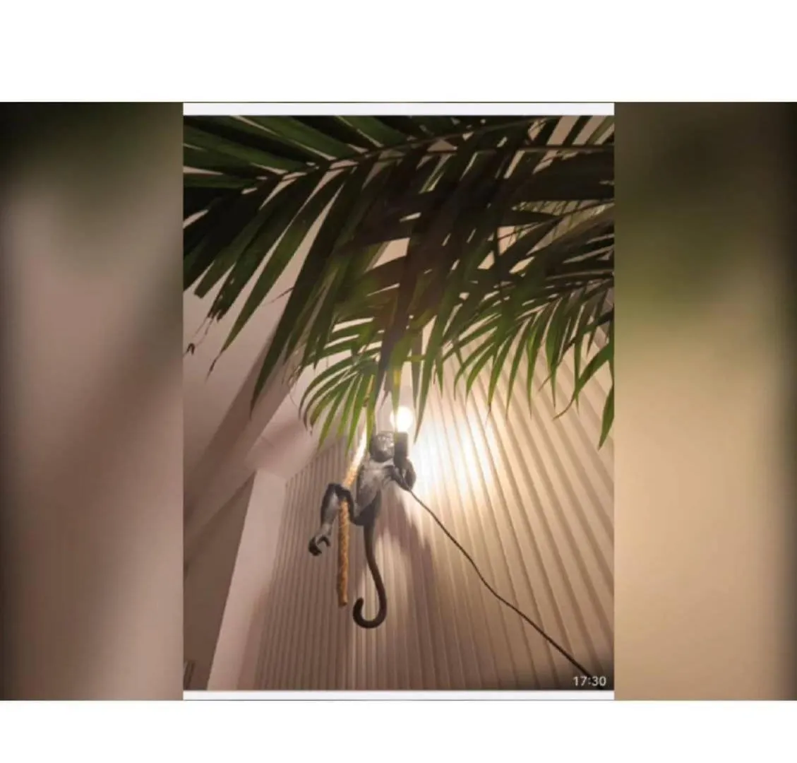 Tropical Apartment Durres